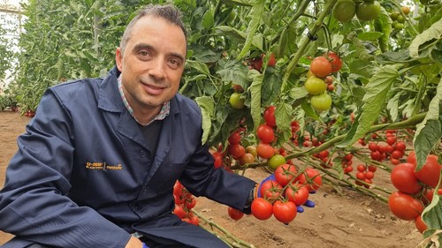 Iván Sierra muestra una de las variedades que más interés están despertando: Cabosur