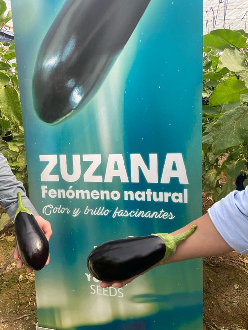 Zuzana aporta frutos de buen calibre