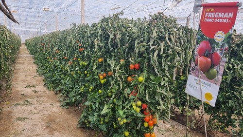 La finca en El Ejido mostró cómo acaba ciclo Freeman