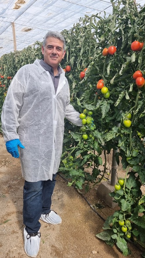 Juan Antonio Plaza, técnico de desarrollo de tomate de HM.CLAUSE