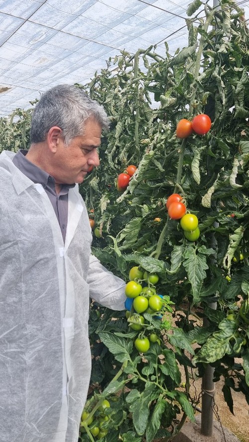Plaza muestra unos frutos de Freeman