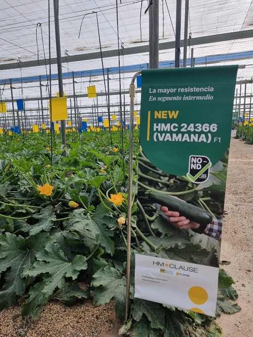 Esta novedad de HM.CLAUSE tiene una planta muy abierta