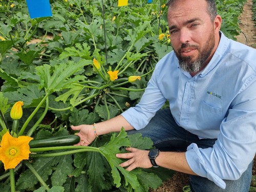 Alejandro Pérez, de HM.CLAUSE, muestra un fruto de la novedad Vamana (HMC 24366)