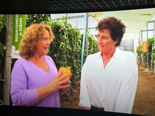 Vídeo filmado el Día de la Mujer con protagonistas relacionadas con el campo almeriense.
