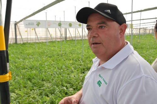 Miguel Ángel Rodríguez, especialista de melón y sandía en Andalucía, guió a la prensa en la visita a la finca