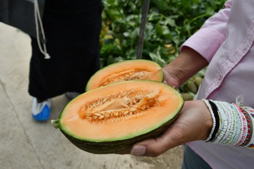 Esta novedad alcanza piezas entre 1,5 - 2 kilos
