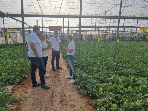Atendiendo a los primeros agricultores