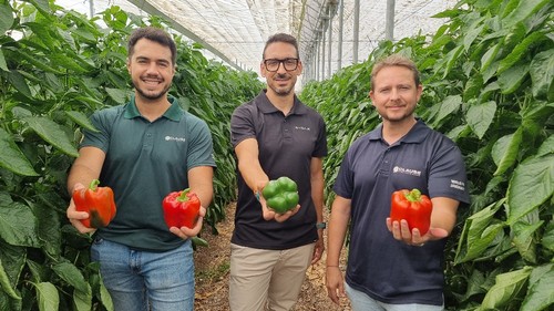 José Miguel Reyes, responsable de comunicación de HM.CLAUSE; David González, comercial para Almería Oeste; y Venancio Manzaneque, coordinador de ventas  para Almería, Málaga y Costa de Granada