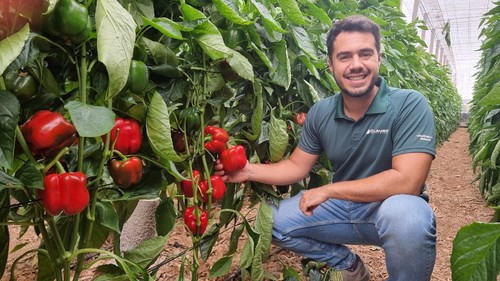 José Miguel Reyes, responsable de Comunicación de HM.CLAUSE, muestra un cultivo de Kefrén