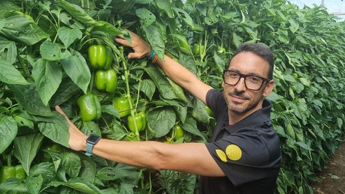 David González con una plantación del California Belenus