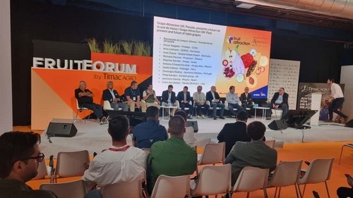 Foro de debate dentro de Grape Attraction para analizar el presente y futuro de la uva de mesa.