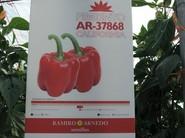 AR-37868
