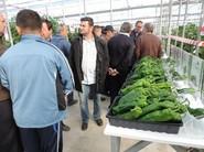 Los italianos llamaron la atención de los productores