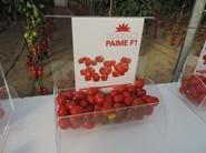 Paime F1
