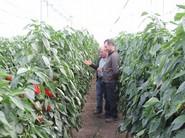 Los agricultores intercambian opiniones