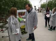 Los técnicos departieron acerca del sabor y las características de las variedades de tomate.