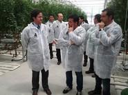 Alcalde, edil de Agricultura y miembros de la empresa comparten impresiones.