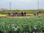 Los agricultores se interesaron mucho por las diversas variedades y su gran calidad