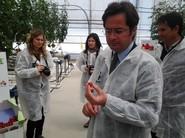 El alcalde de El Ejido observa con detenimiento los tomates de la empresa de semillas.