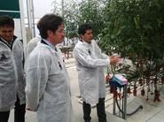 El técnico sigue aportando detalles sobre este cultivo de tomate.