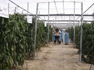 Los agricultores y asistentes a la jornada mostraron gran interés por Olimpiakos
