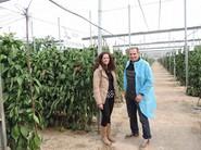 Mª Jesús López, ingeniera técnica de Nunhems, explicando las ventajas de Olimpiacos F1 a agricultor Paco Rodriguez