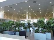 Hall de las instalaciones
