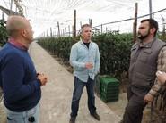 José Luis Pérez, director comercial de Monsanto, charlando sobre el nuevo pimiento