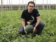 Francisco Javier López, especialista global de sandía de Vegetable Seeds Bayer CropScience