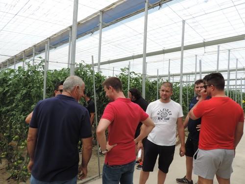 Hazera Spain muestra a los agricultores su variedad beef Corredor