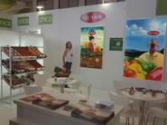 6 de febrero. Stand de Vicasol.