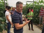 Manuel Martínez, responsable comercial de pepino, pimiento y calabacín de Seminis