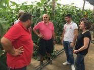 En el centro, el dueño de la finca, Juan José Bonilla