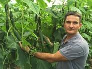 José Valverde, agricultor