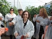 Ana Azor, Marketing Manager de Seminis.
