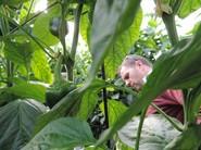 Los agricultores aprovecharon para mirar con detenimiento los cultivos.