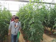 La empresa Fitocañada también visitó la finca