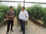 Manuel Ferrer, de HM Clause, con otro agricultor hablando de las bondades de Jacaranda F1
