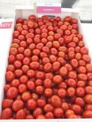 Flavoriti F1 también estuvo a disposición de los agricultores