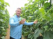 Manuel Martínez, representante comercial de la zona Roquetas-El Ejido de Seminis