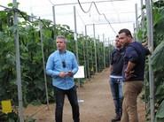 Manuel Martínez, representante comercial de la zona Roquetas-El Ejido de Seminis, explicando las ventajas de los nuevos materiales
