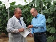 José Luis López, comercial de Seminis, conversando con un agricultor de pepino