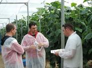 Algunos visitaron las fincas en grupo para compartir sensaciones