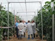 Los comerciales de Seminis estuvieron todo el tiempo resolviendo las dudas de los agricultores