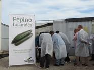 Entrada a una de las fincas de pepino Almería