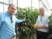 Juan Antonio Barranco, responsable de desarollo de pimiento y Luis Twose, responsable de ventas para pimiento de Seminis