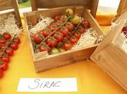 Sirac.