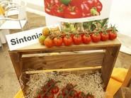 Sintonia F1*, un cherry ramo con un extra de sabor.
