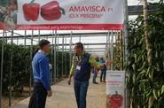 Los responsables de HM Clause respondieron a todas las dudas de los productores.