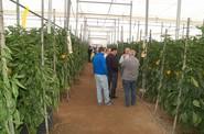 Los agricultores aprovecharon la cita para intercambiar opiniones.